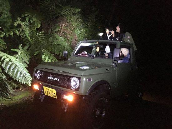 Amami Night Watching Guide Service