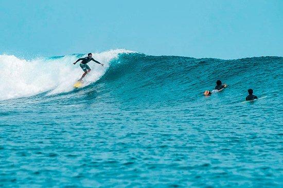 Swell Surf Store