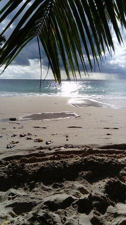 Sailing Seychelles