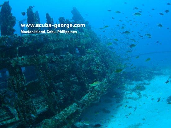 Scuba George