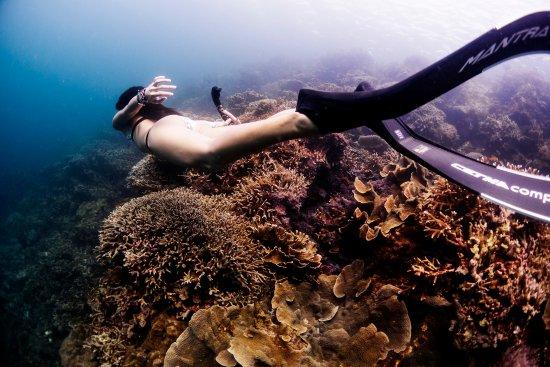 Adventure Freediving