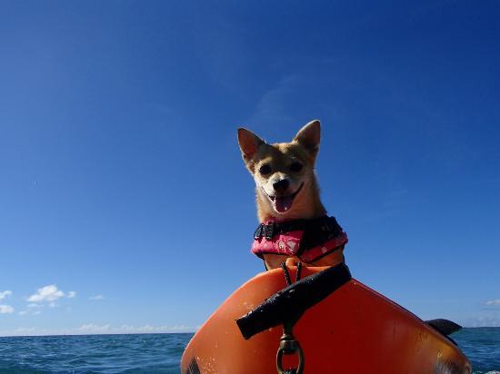 Kayak Yamachan