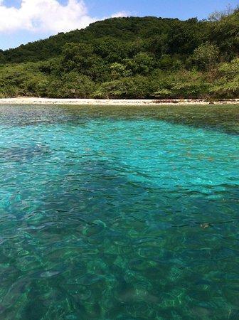 Blue Culebra Snorkeling