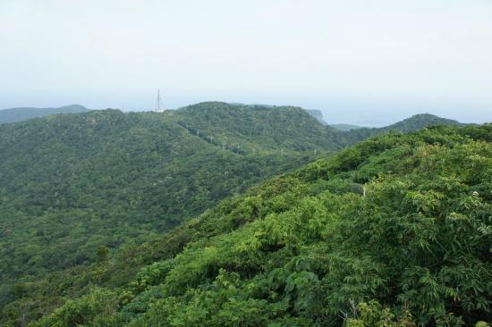 Mount Urabu