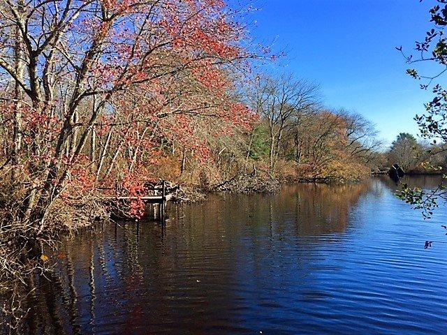 Beaver Dam Park