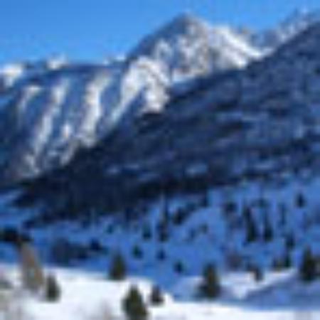 Whataburger