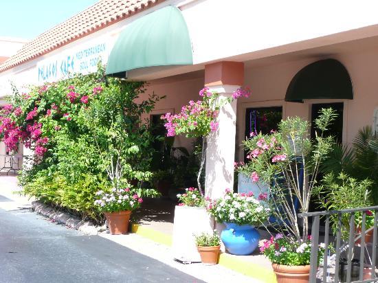 Pelagos Cafe