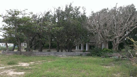 Asukuon Shrine