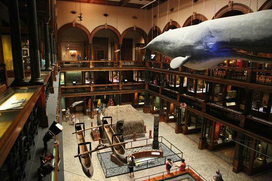 Bishop Museum