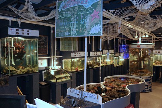 Aquarium de Discovery Passage