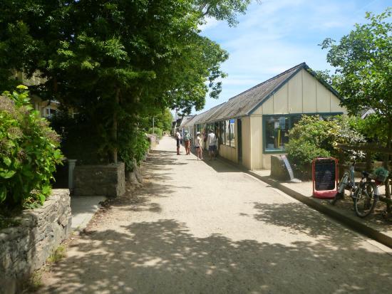 The Avenue