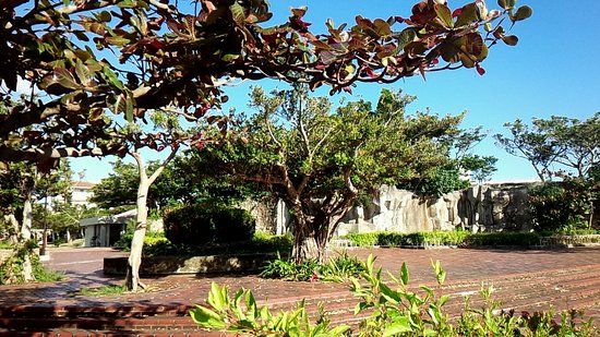 Shinei Park