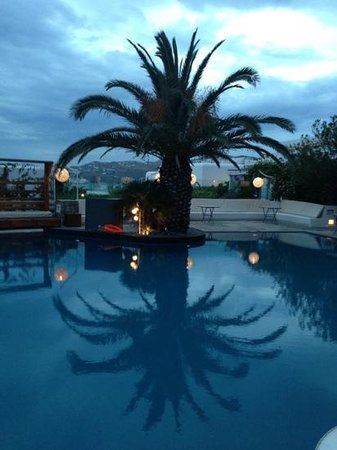 The Belvedere Club Restaurant