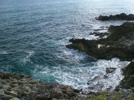 Isla Real