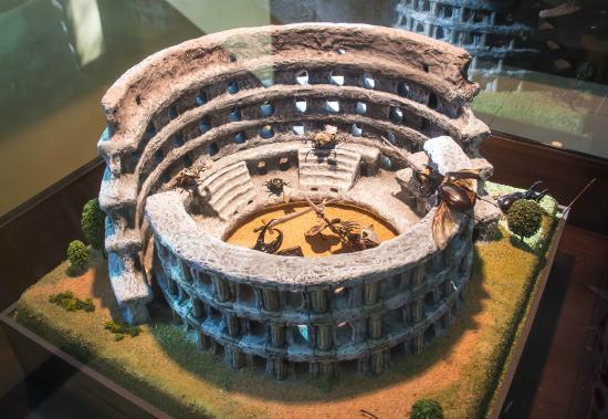 Schmetterlingspark Psyche World