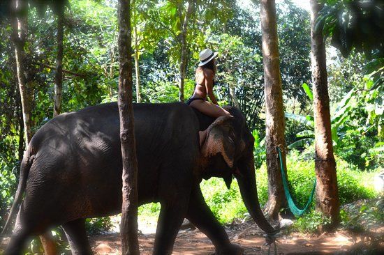 Ban Kwan Chang Elephant Camp
