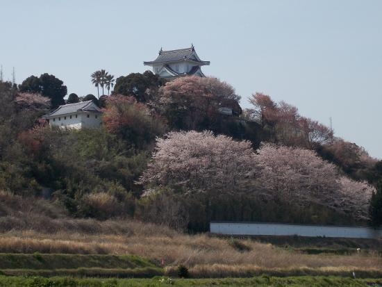Awaji Castle