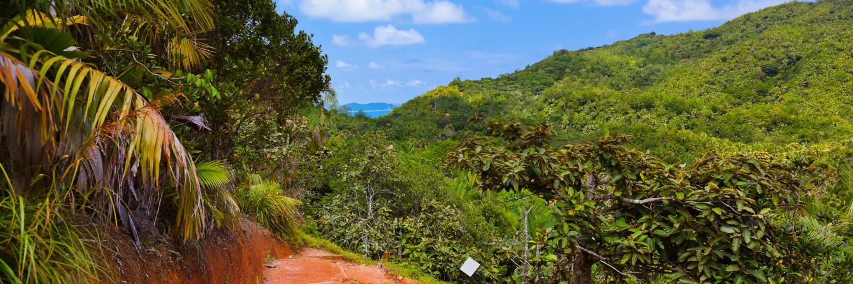 Naturreservat Vallée de Mai