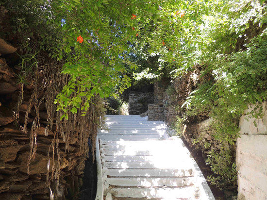 Village Path