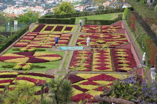 Jardins botaniques de Madère