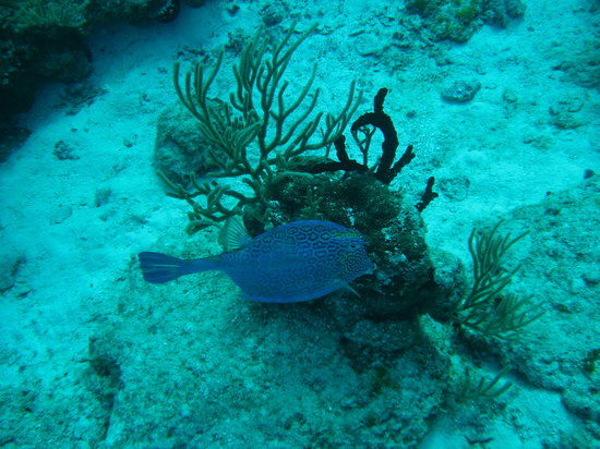 Chankanaab Beach Abenteuerpark