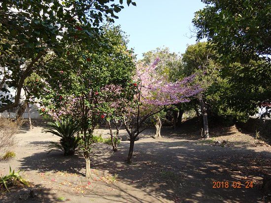 Minamoto No Tametomo Hall Site