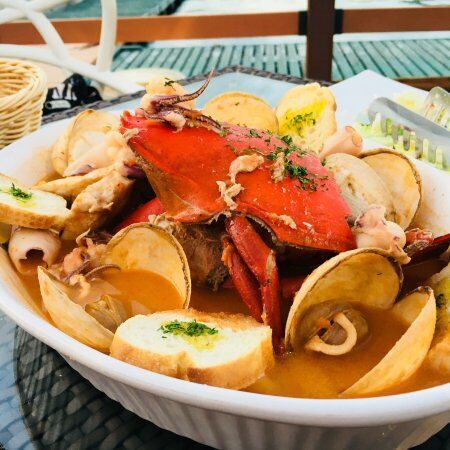 Marina Cafe VITA
