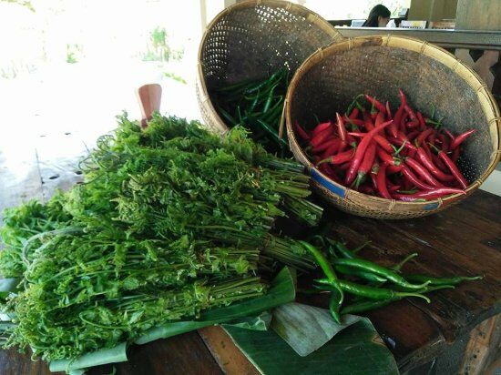 Warung Padang Sumatra